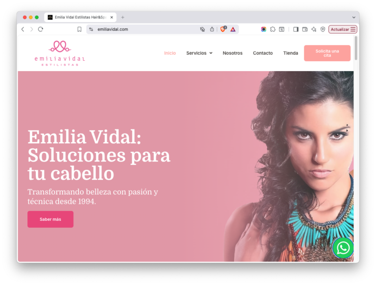 diseno-web-peluqueria-leon
