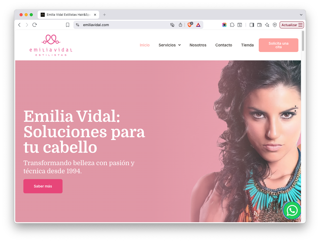 diseno-web-peluqueria-leon